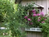 garten-78